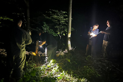 В Самарской области поймали лесоруба-нарушителя