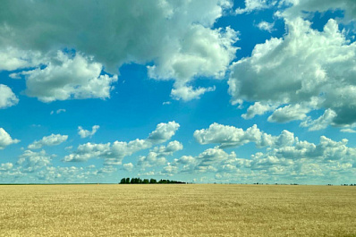 Для 400 многодетных семей подготовят земельные участки в Самарской области