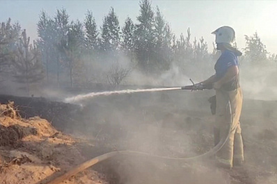 Лесной пожар в Самарской области локализован
