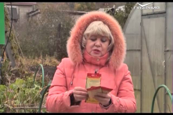 Дачные советы 8.10.2015 