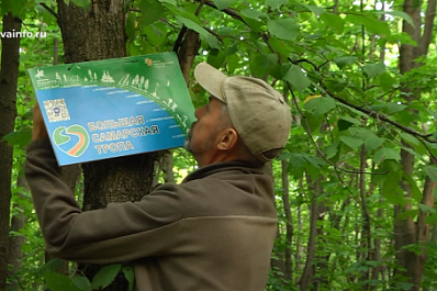 "Большую самарскую тропу" прокладывают у самых живописных мест региона
