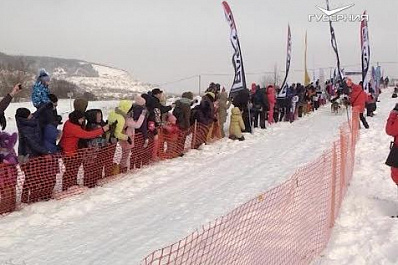 23 каюра и 230 животных: в Самарской области стартовала масштабная гонка на собачьих упряжках