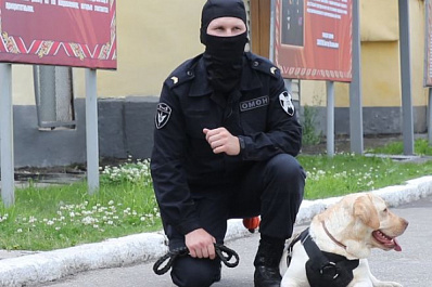 Рогвардейцы рассказали, как используют собак на службе 