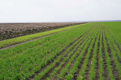 Народные приметы на 7 мая 2025 года: что нельзя делать в этот день