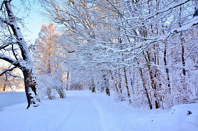 Самарцев приглашают отметить "Славянскую зиму" в Загородном парке