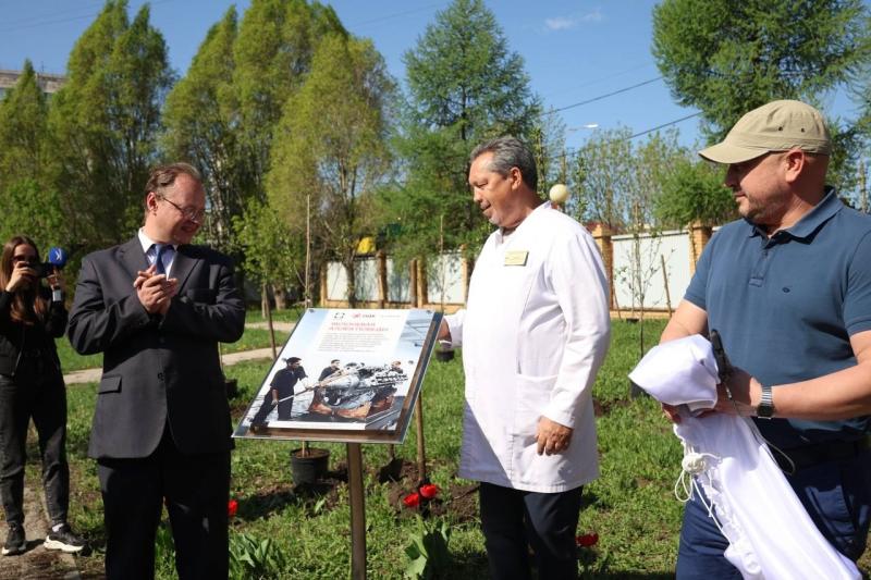 В Самаре высадили яблоневую аллею Победы