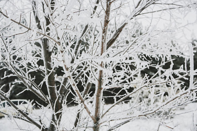 Народные приметы на 31 января 2025 года: что нельзя делать в этот день