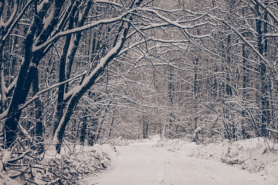 В национальном парке "Самарская Лука" дружная весна "развезла" зимник