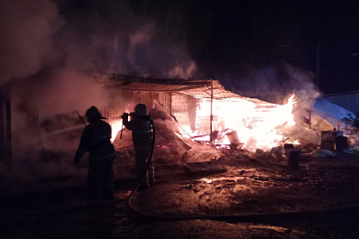 В сгоревшем доме в Кинельском районе погиб человек