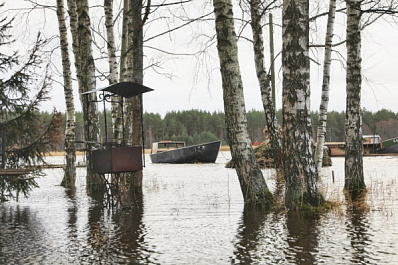 Идёт "большая вода": в шести районах Самарской области подтопило дома и мосты