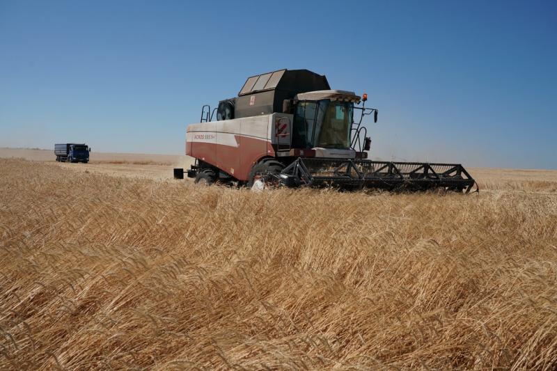 "Достойный результат": Дмитрий Азаров поблагодарил аграриев региона за рекордный урожай зерновых
