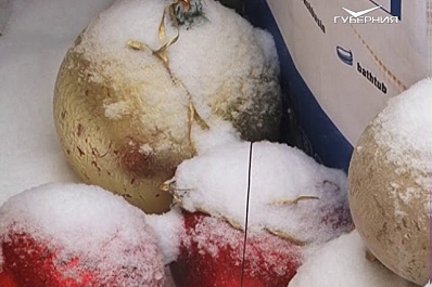 На площади Куйбышева установили главную ёлку города