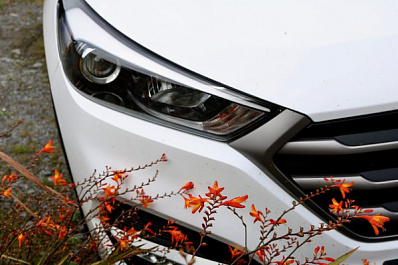 Верховный суд разрешил не пропускать "обочечников"