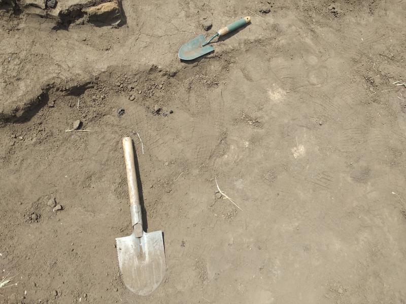 В Красноярском районе обнаружены средневековые артефакты