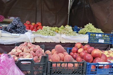 70 сельхозпроизводителей работают на ярмарке около музея Алабина