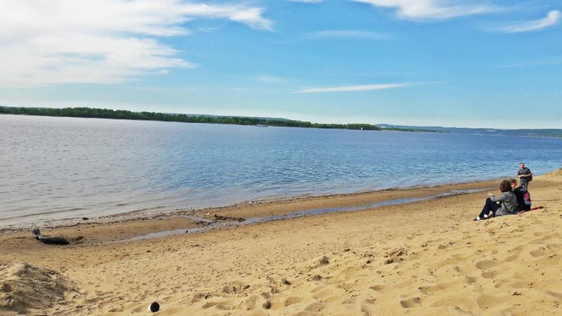 На очистку берегов Волги, Самары и Татьянки направят почти 12 млн рублей
