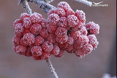 Нетипичные для ноября холода пришли в Самарскую область