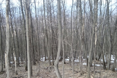 Суд обязал владельца ТЦ "Космопорт" снести незаконный забор в "Дубках" 