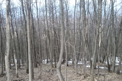 Название статьи