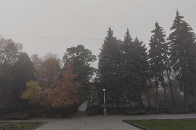 На предстоящей неделе в Самарской области синоптики обещают "снежную кашу"