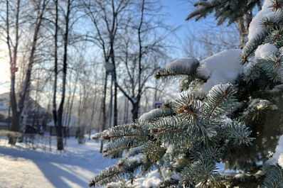 Местами до -24 градусов: рабочая неделя в Самарской области начнется с ночных заморозков