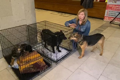 В Тольятти прошла выставка-раздача домашних животных