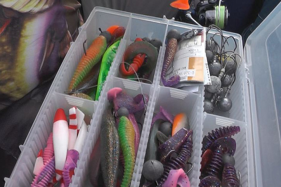 Какие приманки лучше всего использовать. Рыбацкое счастье