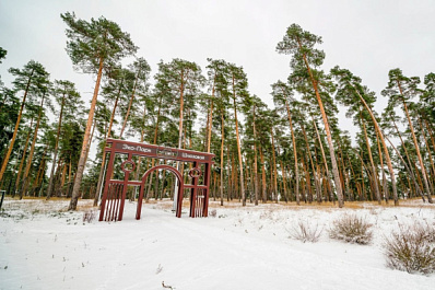 В Тольятти выбрали компанию для благоустройства Шлюзового