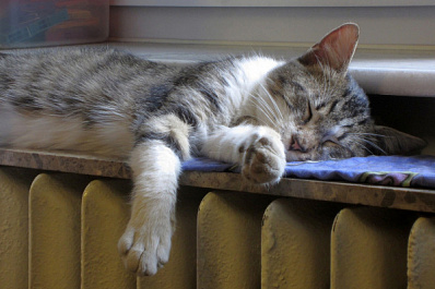 Система "Инцидент-менеджмент" помогла самарцам вернуть тепло в квартиры