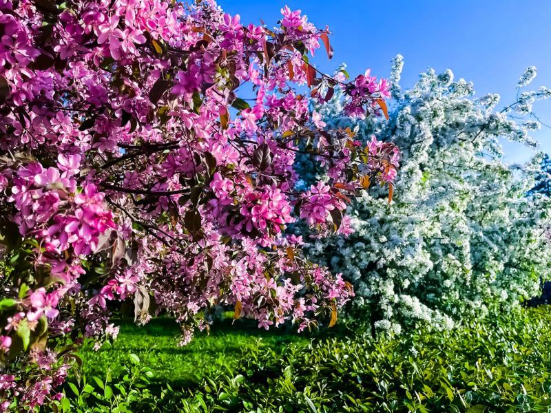 Народные приметы на 12 мая 2025 года: что нельзя делать в этот день