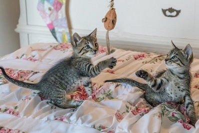 Четверо за раз: девушка стала мамой сразу нескольких малышей