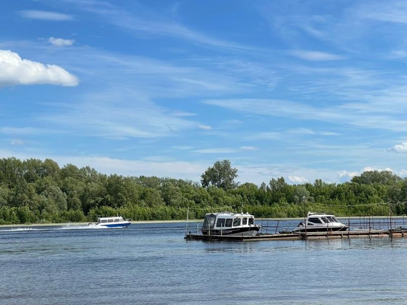 Утонуло 25 человек: нижегородцам напомнили о штрафах за купание в неположенных местах