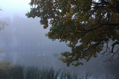 Самарскую область 30 сентября окутает туман