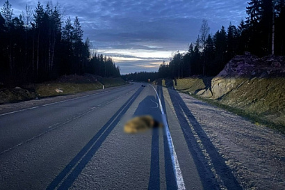 Название статьи