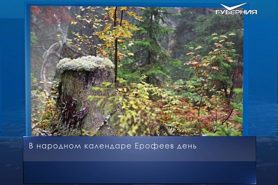 Ерофеев день. Календарь губернии от 17 октября