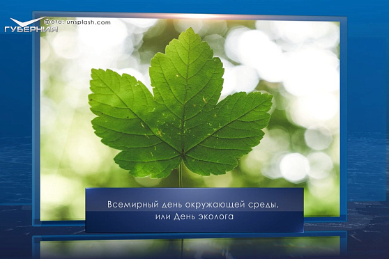 День бега и эколога. Календарь Губернии от 5 июня