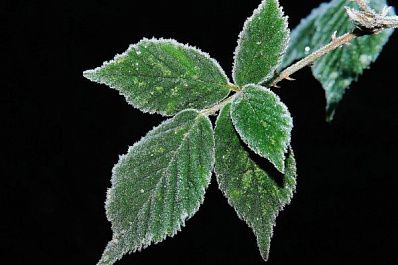 В Сызрани побит рекорд минимальной температуры воздуха