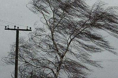 Штормовой ветер обрушится на Самарскую область в ближайшие часы