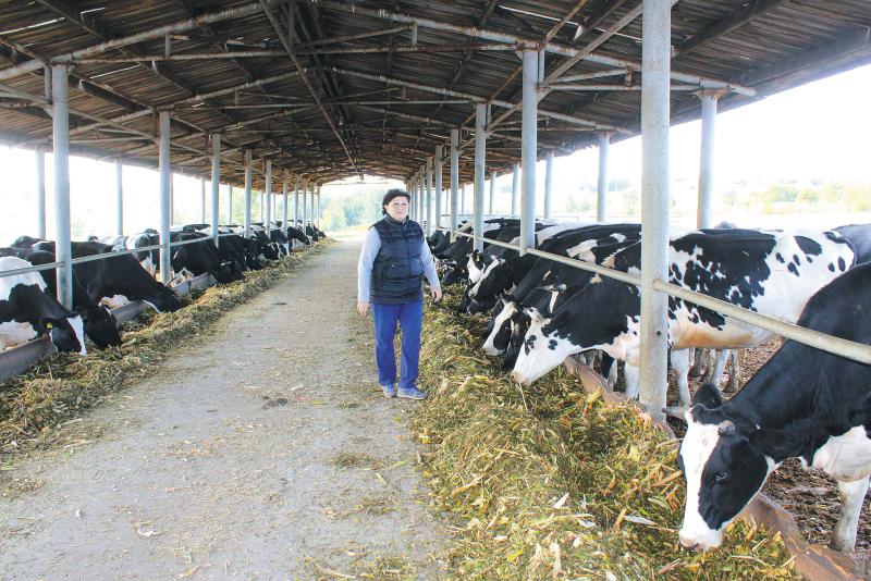  От совхоза к холдингу: как добиваются богатого урожая и высоких надоев