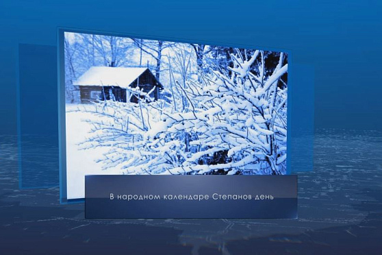 Степанов день. Календарь губернии от 9 января