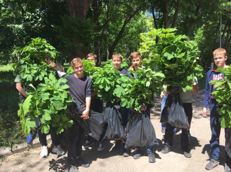 100 саженцев каштанов украсят парк "Дружба" в юбилейный год ТРК "Губерния"