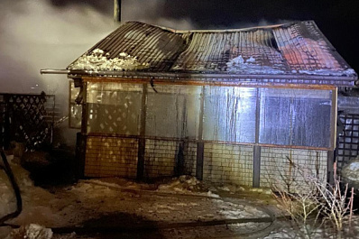 В Самарской области в пожаре погибли домашние животные