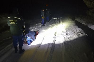 В Самарской области спасатели помогли выбраться из леса травмированному автомобилисту