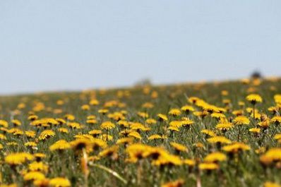 В Самарской области к выходным потеплеет до 24 градусов