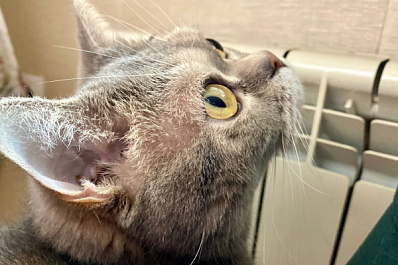 В Самарской области жители Похвистнева остались без тепла