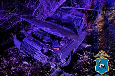 В Самаре 11 октября водитель потерял управление и врезался в дерево