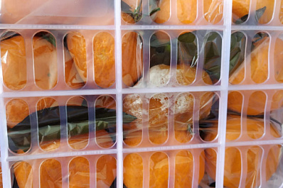 Самара вернула в Казахстан 40 тонн китайских мандаринов и помело