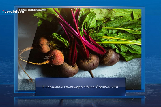 Фекла Свекольница. Календарь Губернии от 1 сентября
