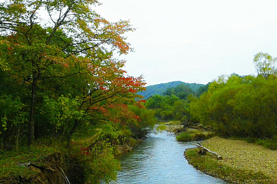 Жителей Самарской области приглашают принять участие в федеральной программе Дальневосточный гектар