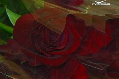 Работники службы занятости Самарской области отмечают свой профессиональный праздник